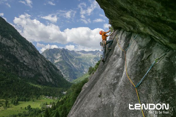 Alpine 7.9_2.jpg Alpine 7.9_2.jpg